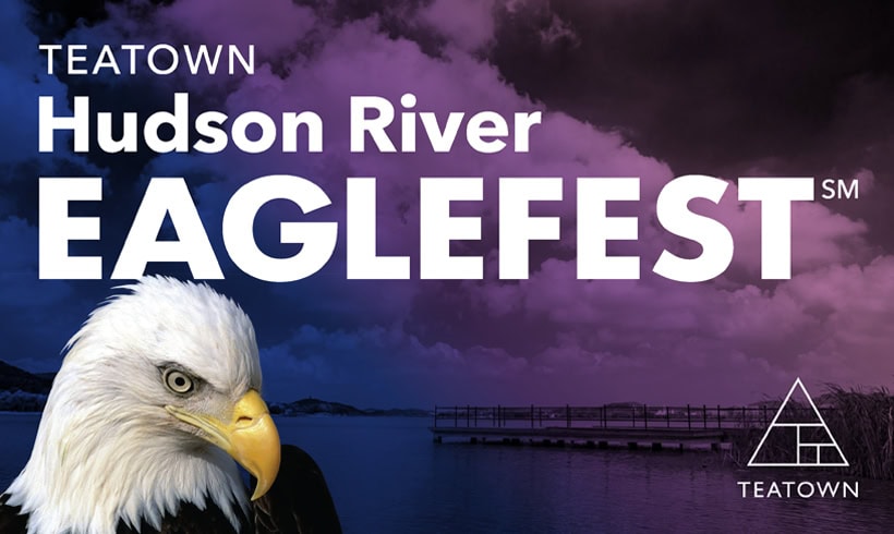 EagleFest Logo