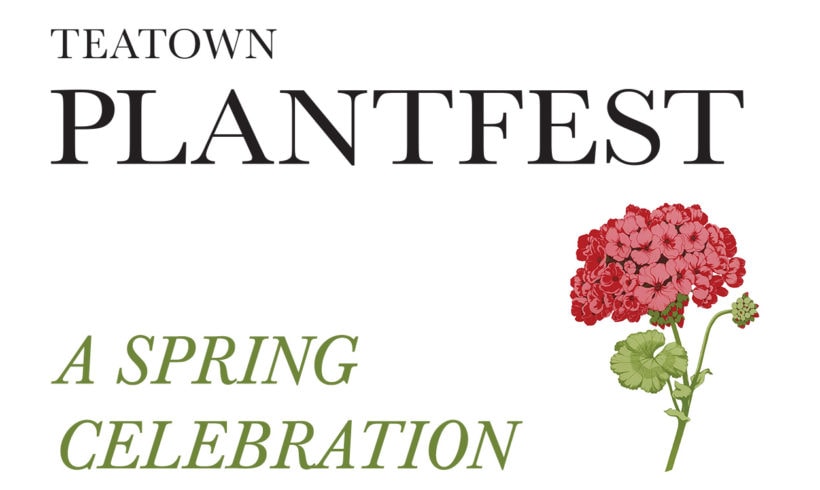 A pause on PlantFest this year
