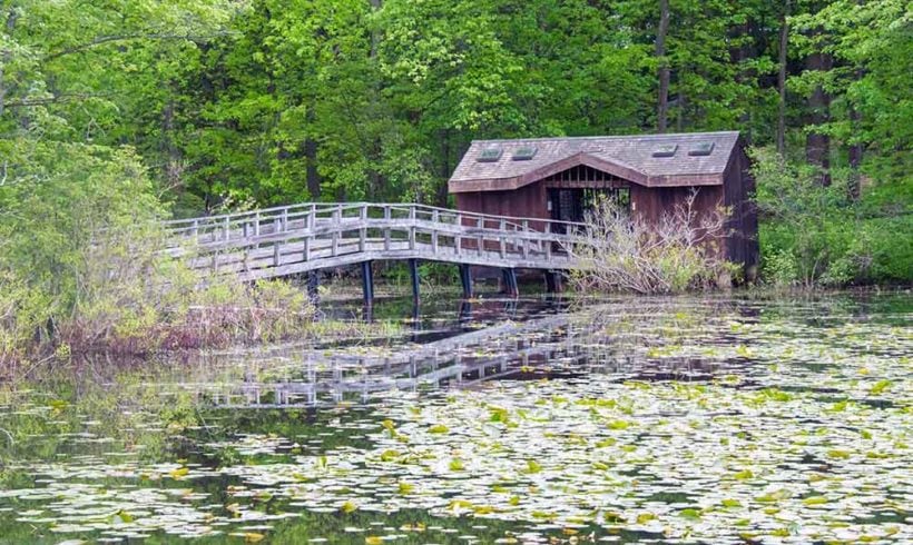 Wildflower Island Open Gate Day (ages 10+, no dogs) Wildflower Island Open Gate Day (ages 10+, no dogs)