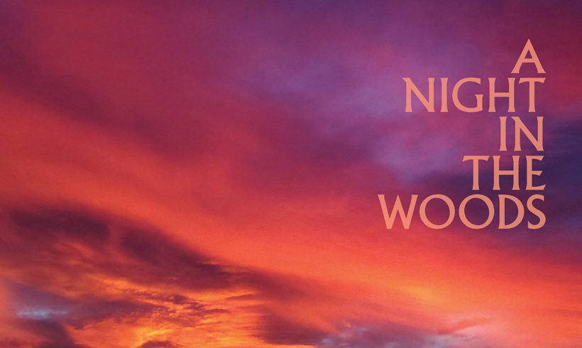 Thank you to all who supported “A Night in the Woods” 2019