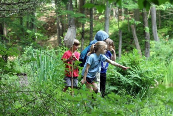 Nature Girls (Ages 8-12) - Teatown