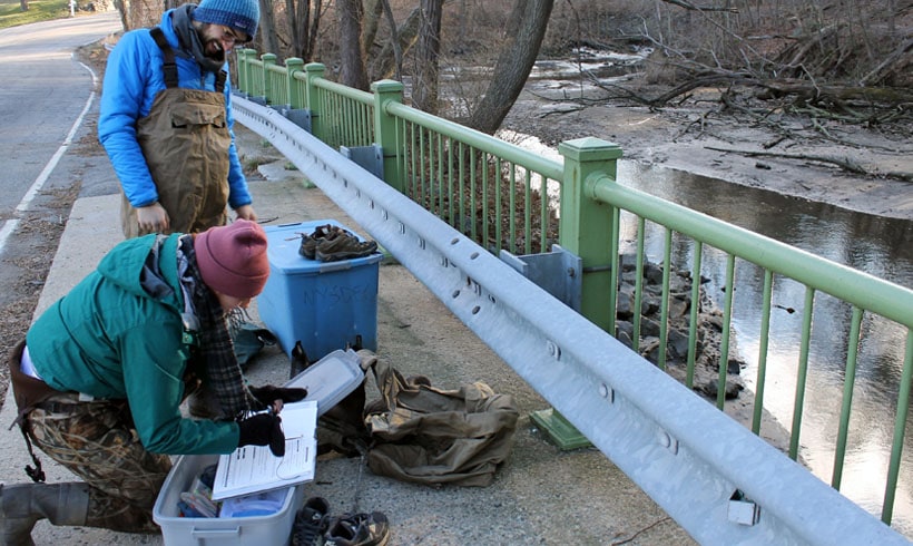 Citizen Science