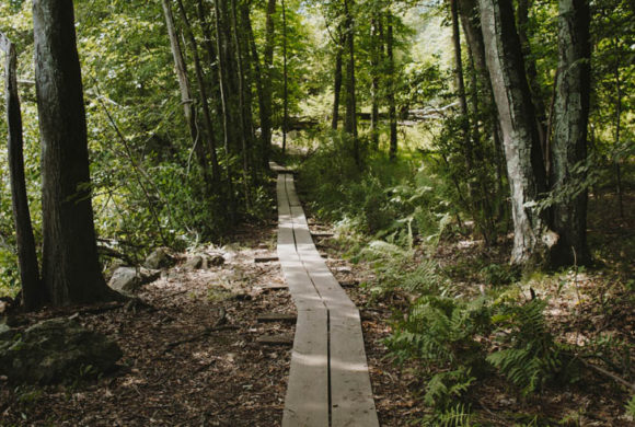 Teatown Trail System Overhaul Completed