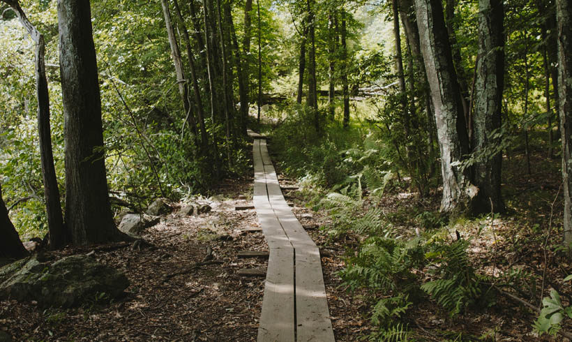 Teatown Trail System Overhaul Completed
