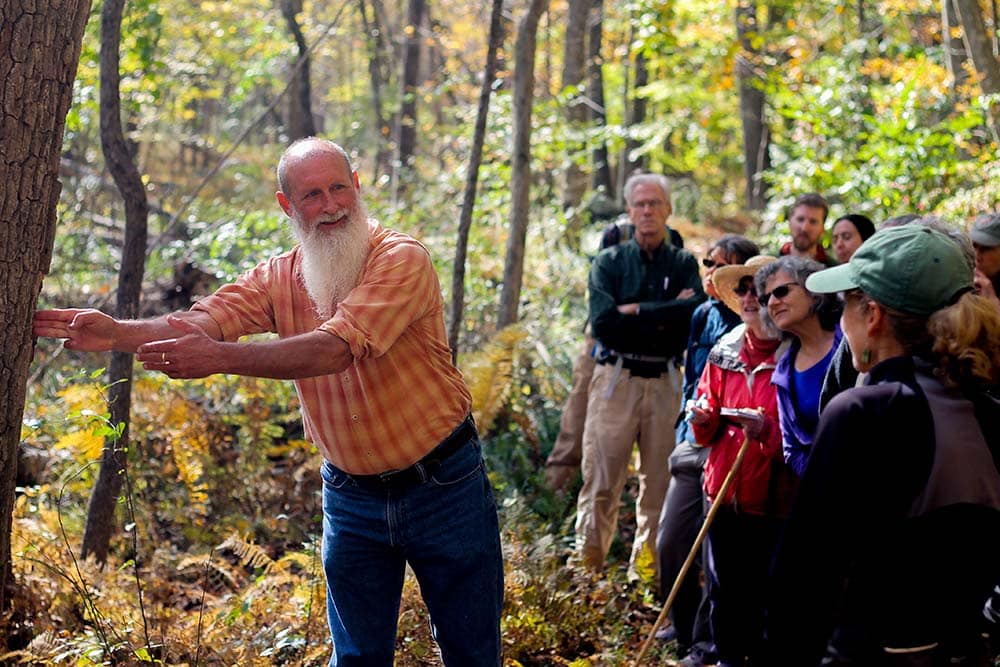 Nature Girls (Ages 8-12) - Teatown