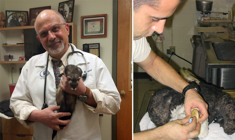 A thank you to the veterinarians who care for Teatown’s animal ambassadors