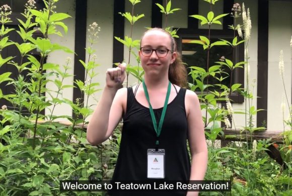 Our Journey to Making Teatown Deaf-Friendly