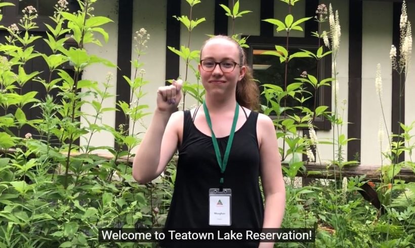 Our Journey to Making Teatown Deaf-Friendly