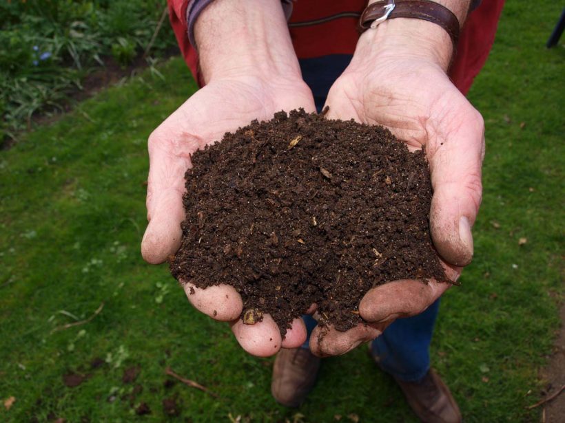 How and why to compost: The dirty details