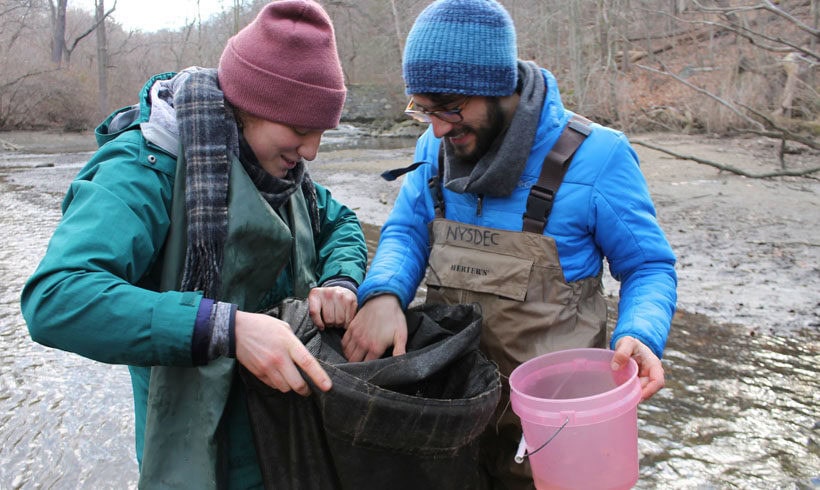 Eel with Teatown Info Session (Ages 14+) Eel with Teatown Info Session (Ages 14+)