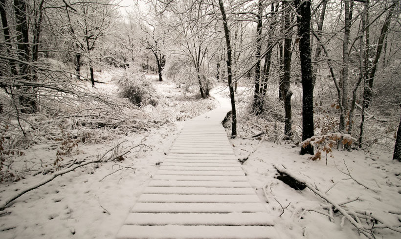 Hike in the New Year (8+)