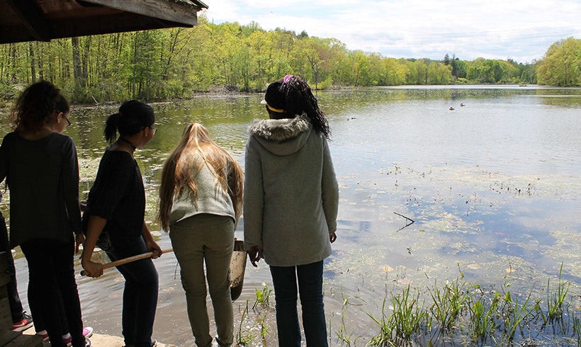 Wet & Wild (Families) Wet & Wild (Families)