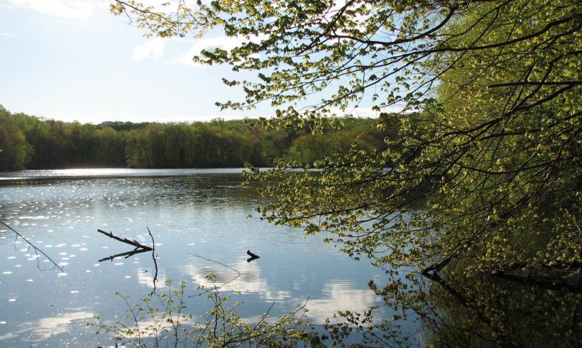 Women Take to the Trails