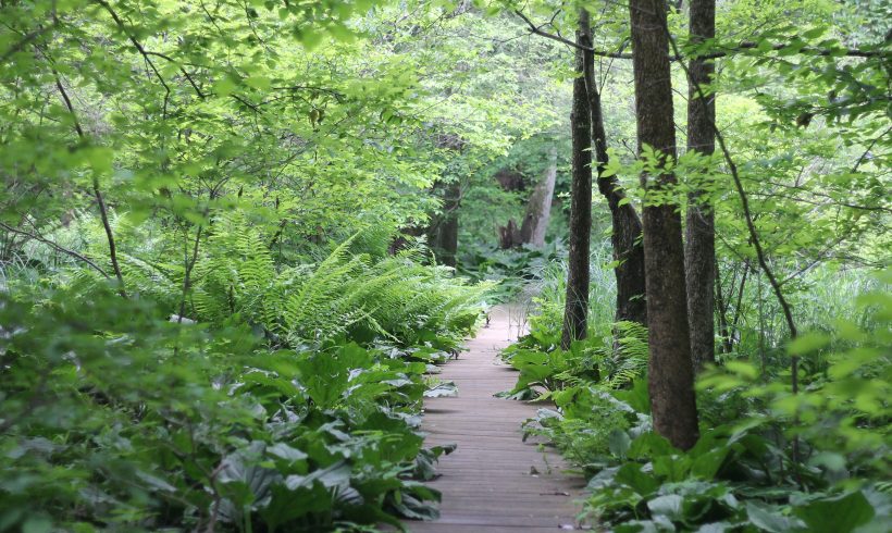 Labor Day Hike