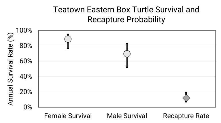 Figure 1. Teatown Eastern Box Turtle annual survival and recapture probability by sex for mark-recapture data from 2009-2022.