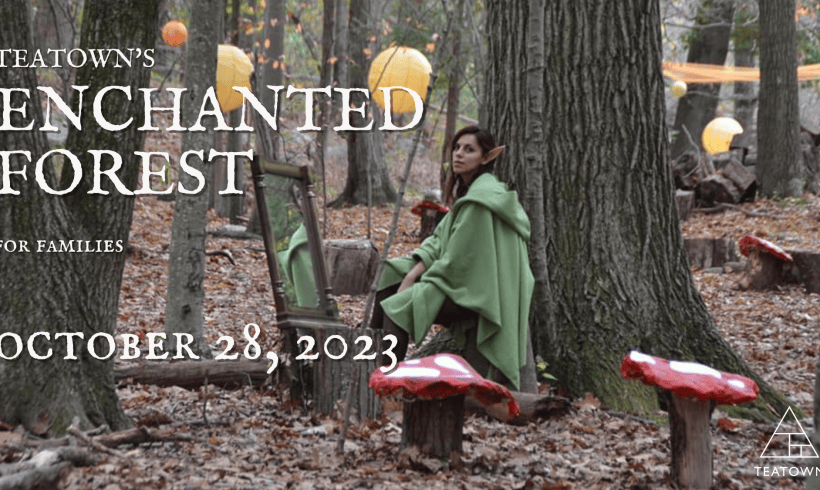 Teatown’s Enchanted Forest Teatown’s Enchanted Forest