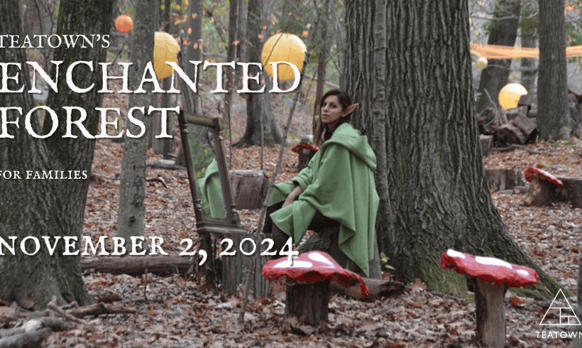 Enchanted Forest Enchanted Forest