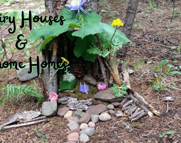 fairy houses and gnome homes