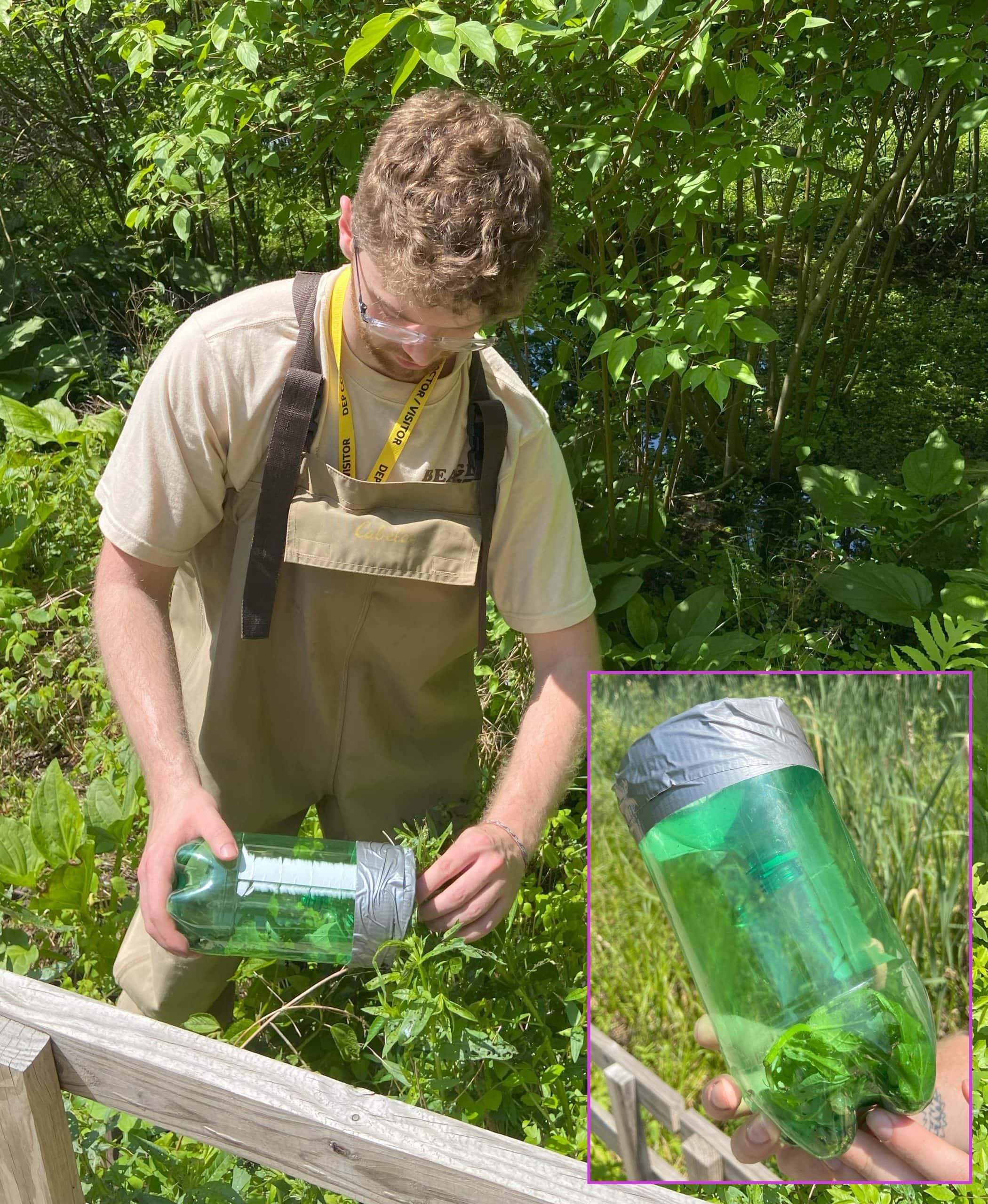 SUNY Ulster intern Sean Cornelison tests out the soda bottle tap-and-funnel method. This DIY option was recommended to the team by the local co-operative extension.