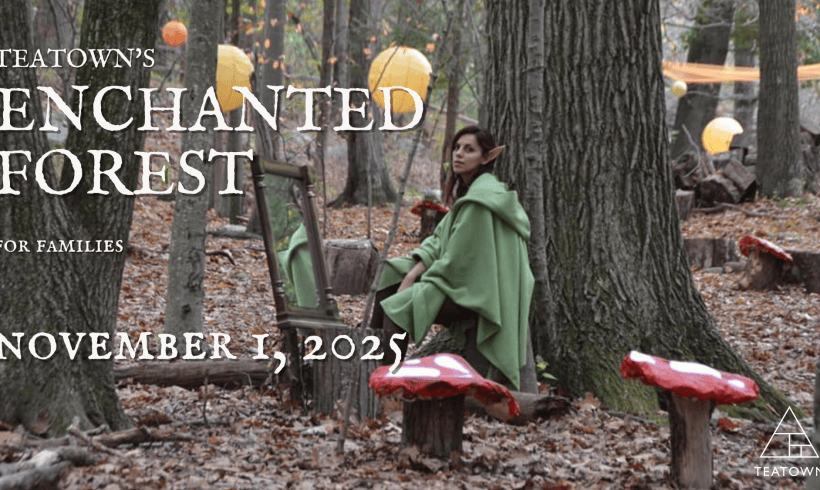 Enchanted Forest Enchanted Forest