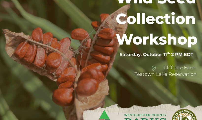 Wild Seed Collection Workshop Wild Seed Collection Workshop
