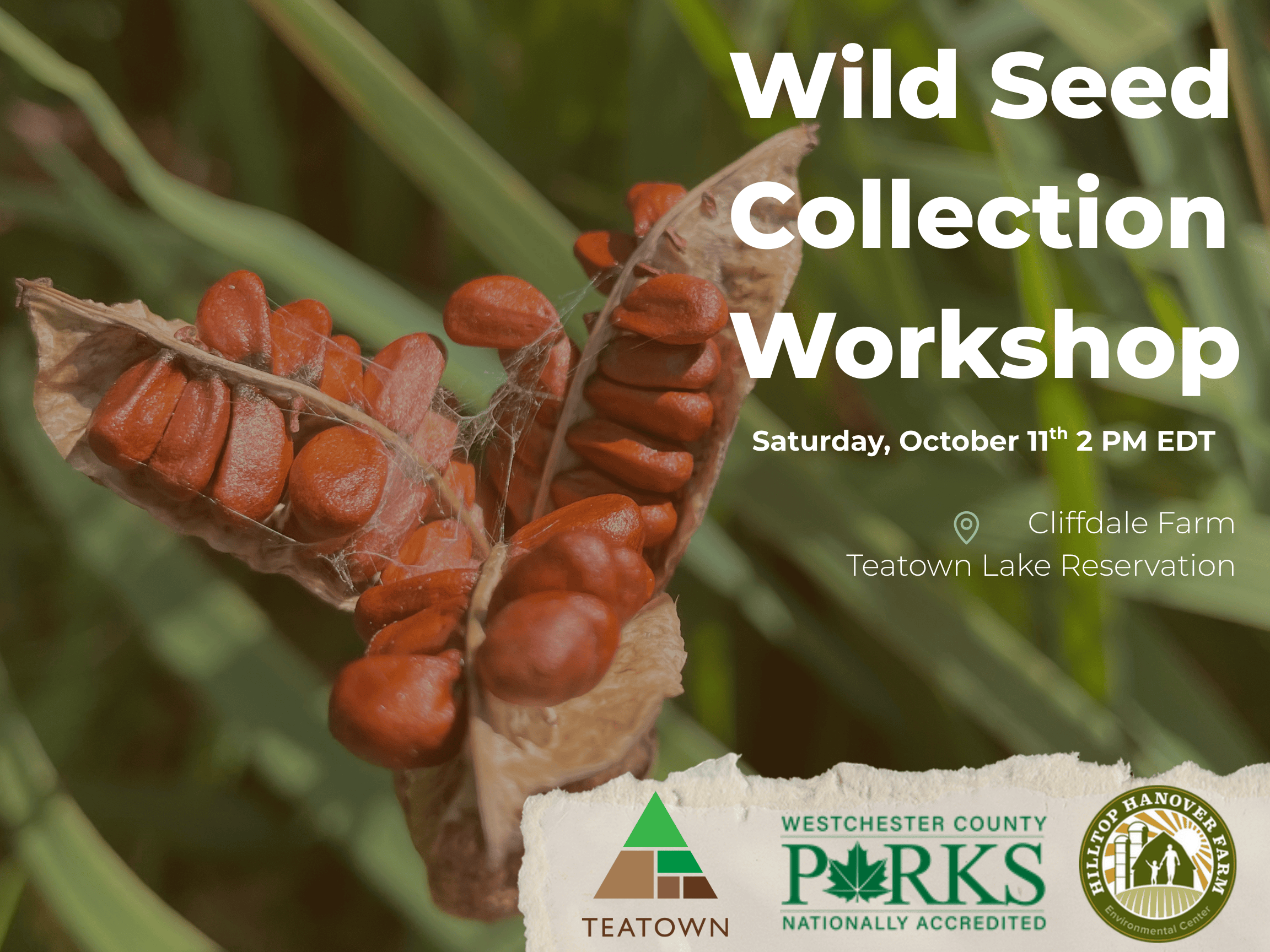 wild seed collection workshop