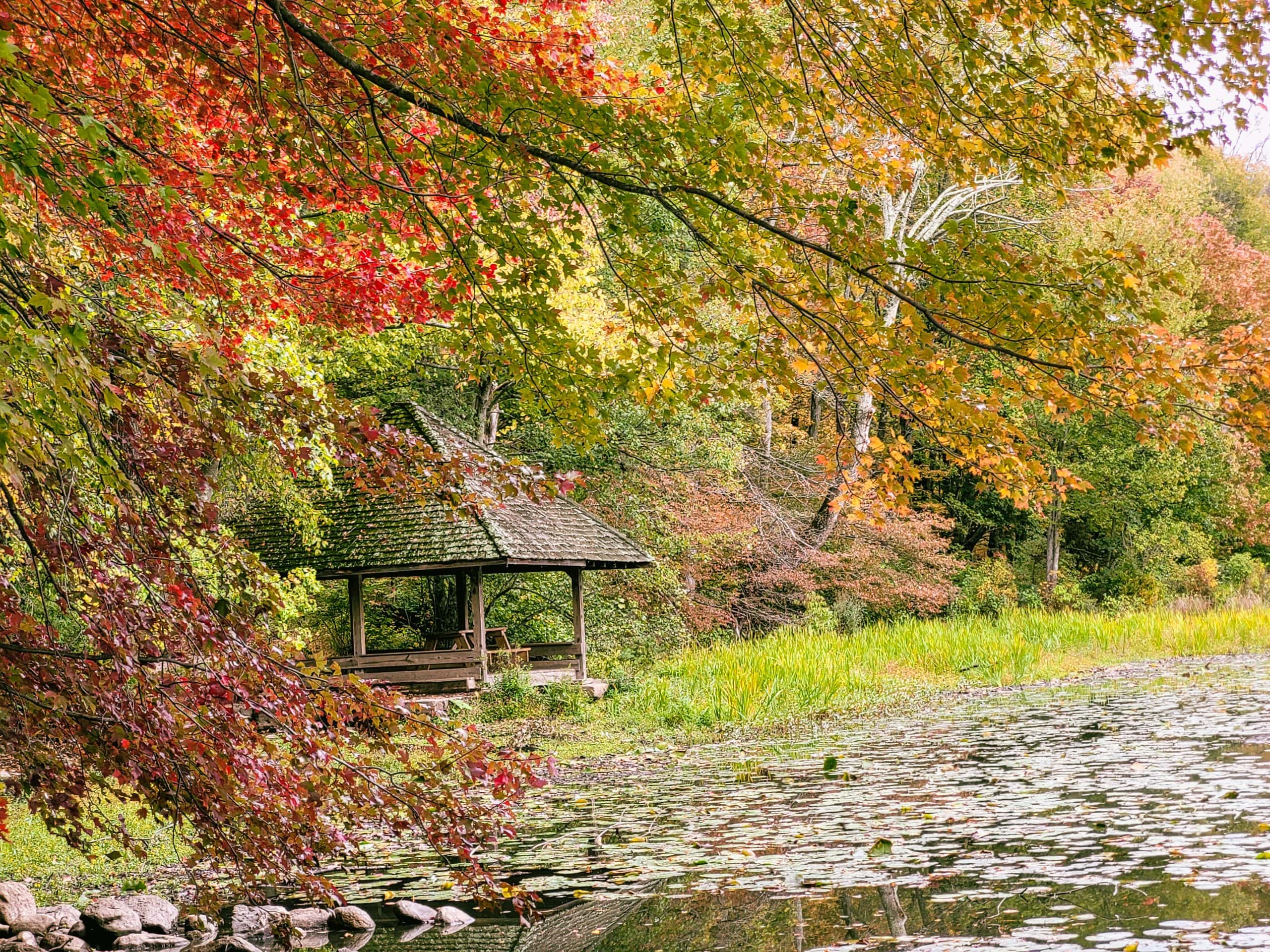 foliage boathouse