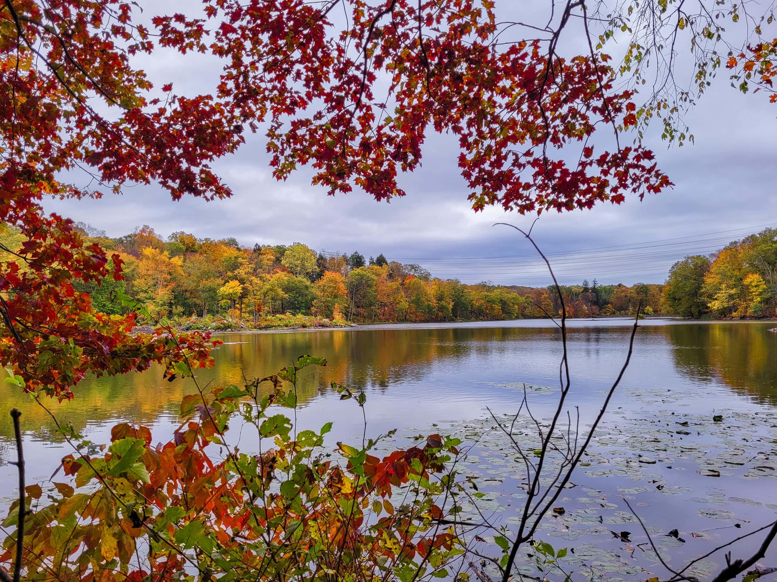 fall foliage teatown lake