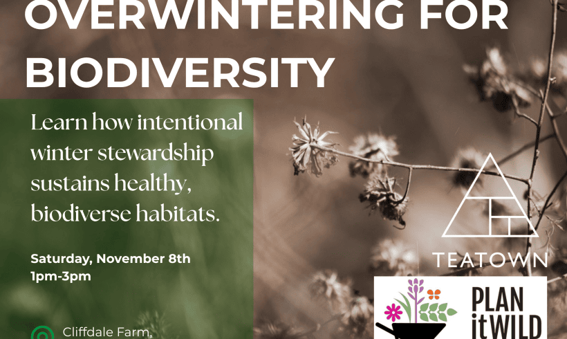 Overwintering for Biodiversity with PLAN it WILD Overwintering for Biodiversity with PLAN it WILD