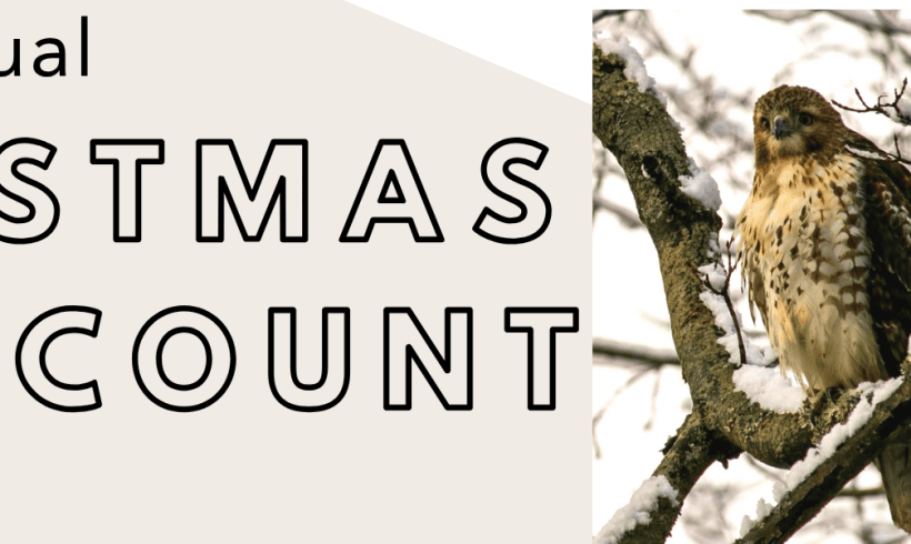 Christmas Bird Count (Adults) Christmas Bird Count (Adults)