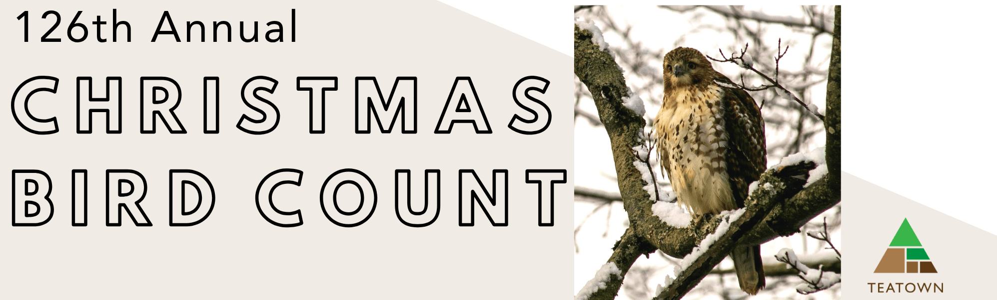 2025 Christmas bird count