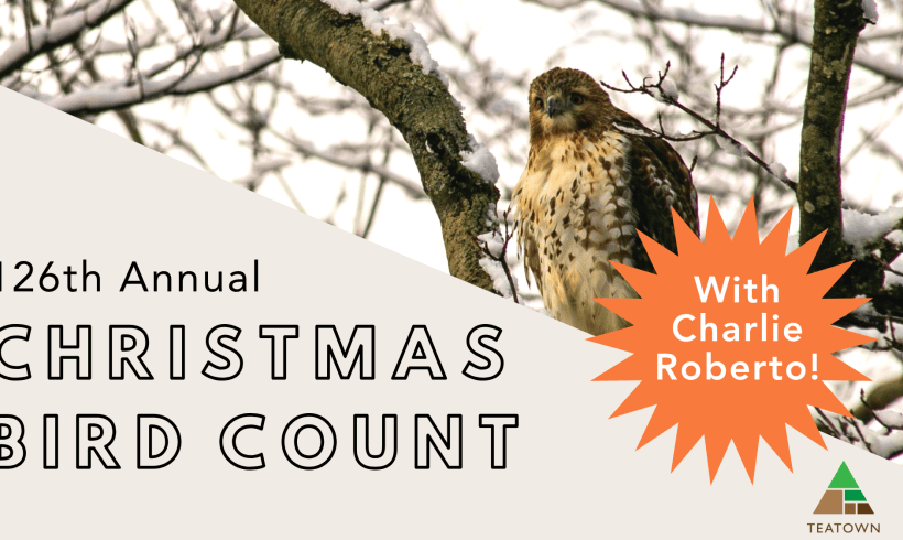 Christmas Bird Count Kick Off With Charlie Roberto (Adults) Christmas Bird Count Kick Off With Charlie Roberto (Adults)