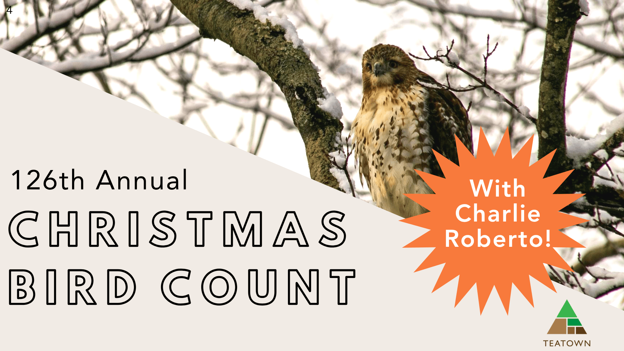 2025 christmas bird count