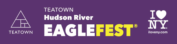 eaglefest web banner