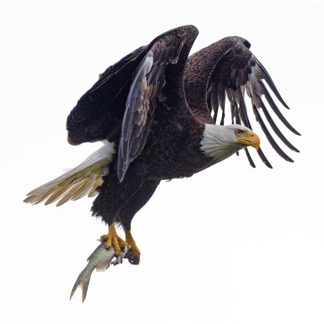 2nd Place: “Mother’s Love” by John Power