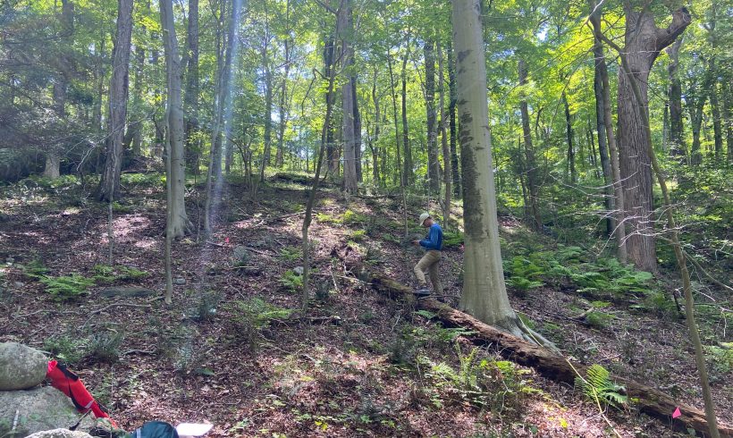 Teatown Lake Reservation Awarded $1.5 Million Grant to Advance Forest Restoration Research Projects