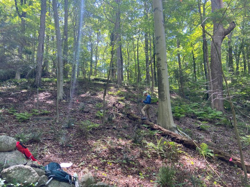 Teatown Lake Reservation Awarded $1.5 Million Grant to Advance Forest Restoration Research Projects