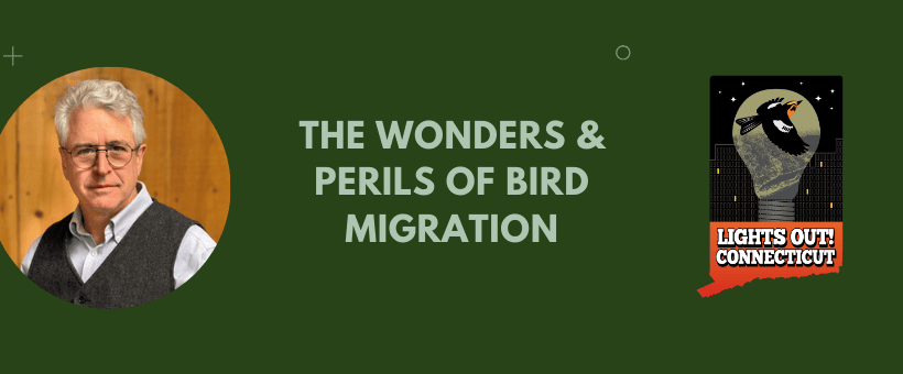 The Wonders and Perils of Bird Migration The Wonders and Perils of Bird Migration
