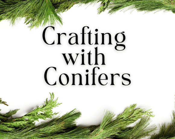 Crafting with Conifers