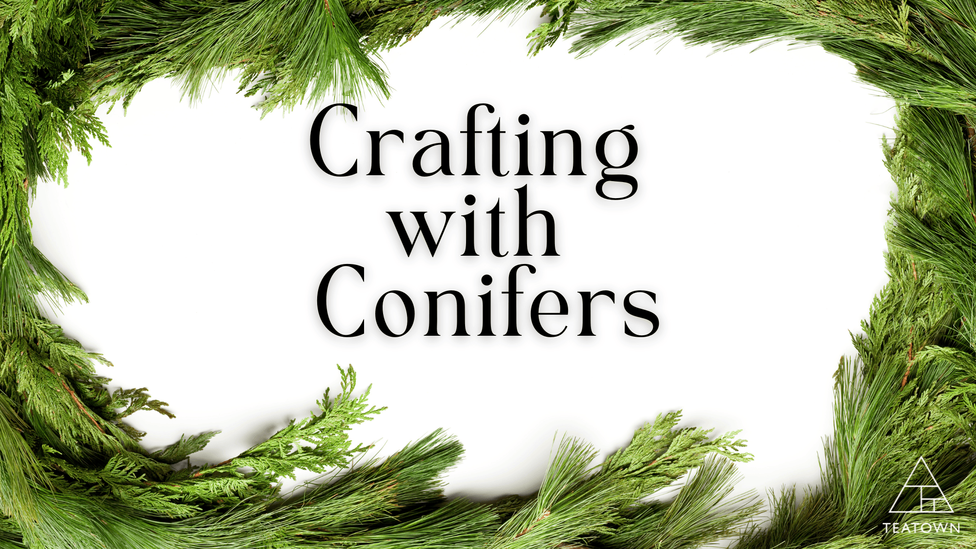 Crafting with Conifers