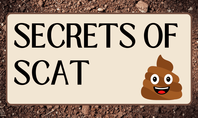 Secrets of Scat