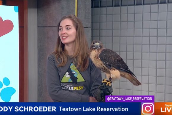 Teatown Takes Flight on PIX11’s New York Living to Promote EagleFest 2026