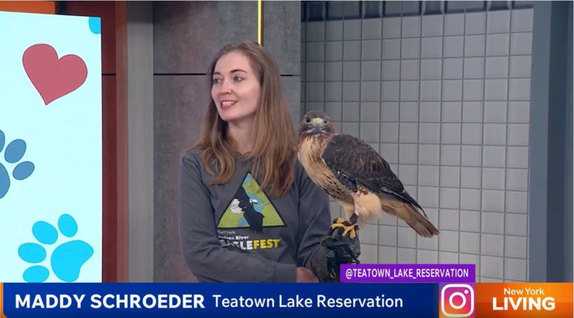 Teatown Takes Flight on PIX11’s New York Living to Promote EagleFest 2026
