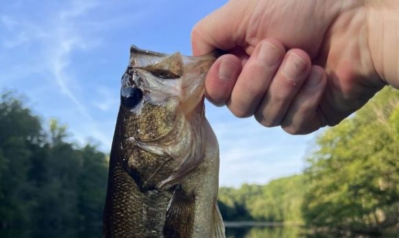 A Pause on Fishing in 2026